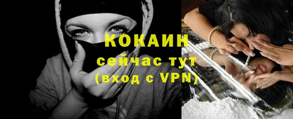 мдпв Богданович