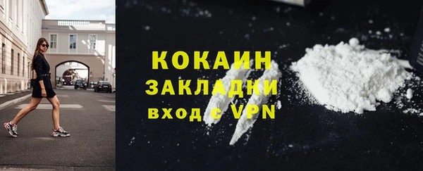 мдпв Богданович