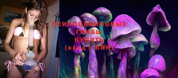 мдпв Богданович