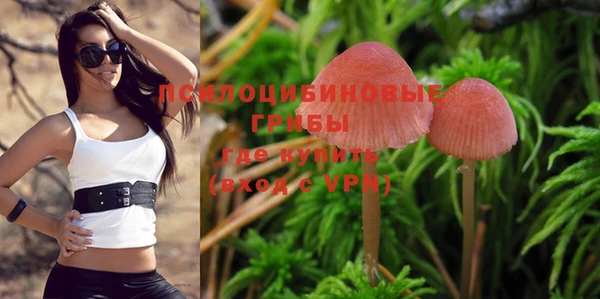 a pvp Богородицк