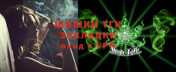 мдпв Богданович